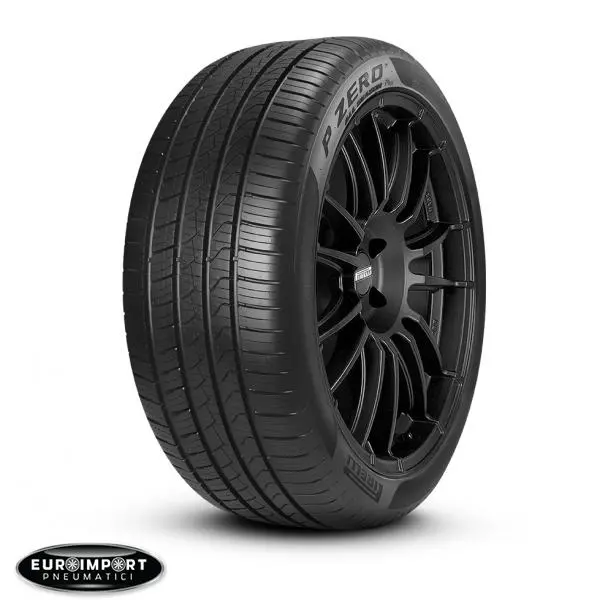Pirelli PZERO ALL SEASON  275/40 R19 101 W  